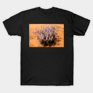 Mulla Mulla Plant in the Mallee at Mungo T-Shirt